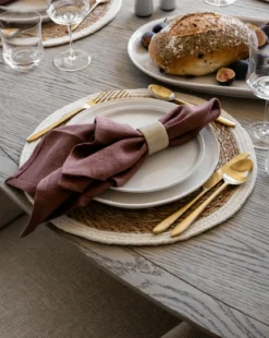 Aiden Dinner Plate (Set of 4)