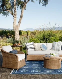 Aldridge Handwoven Indoor/Outdoor Rug
