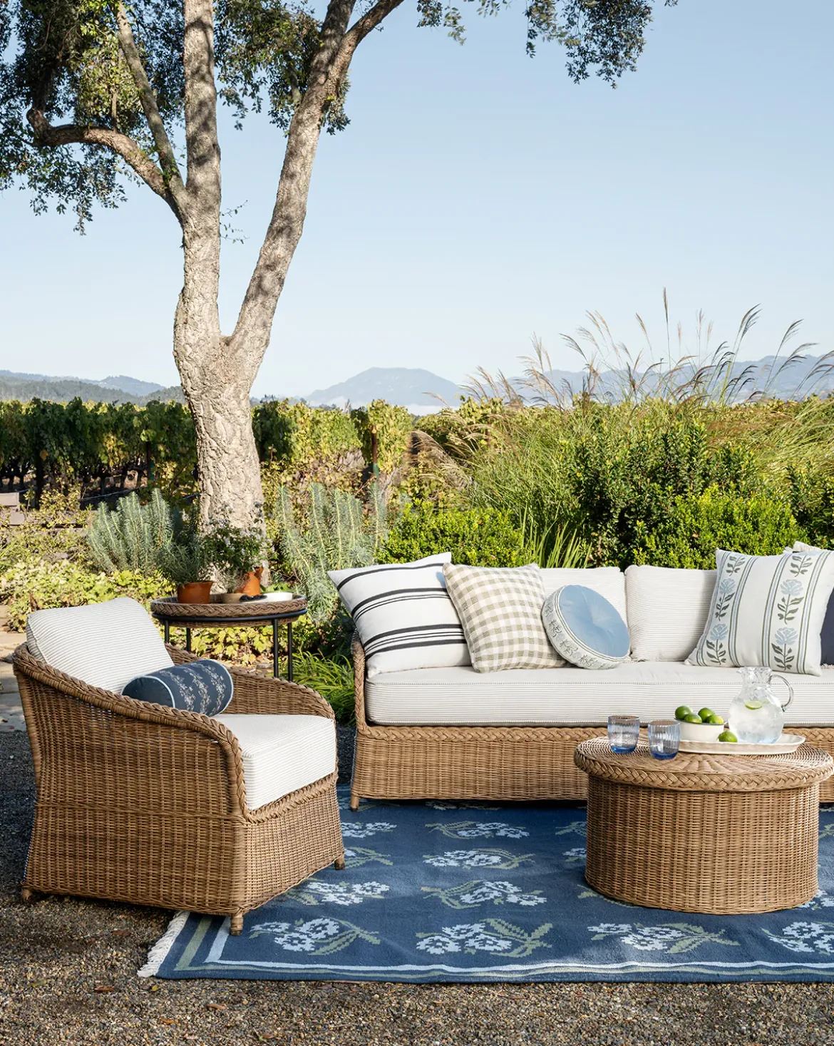 Aldridge Handwoven Indoor/Outdoor Rug
