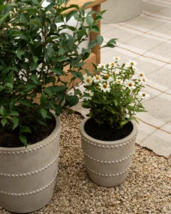 Allaston Planter