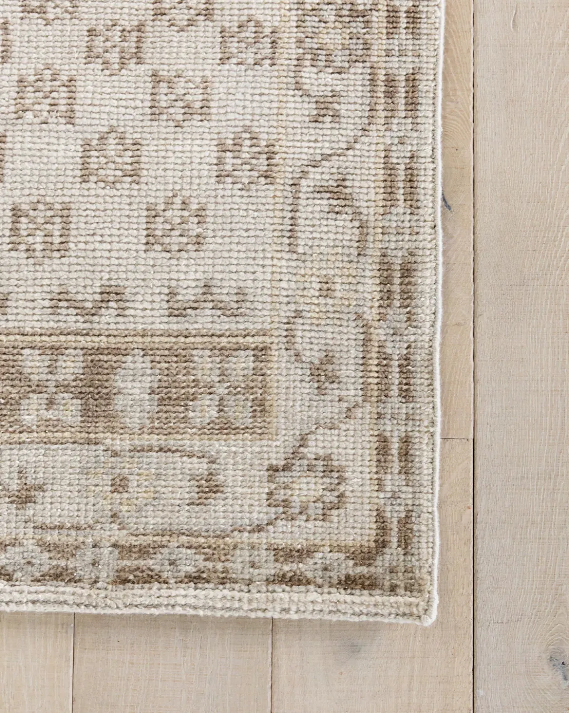 Anya Neutral Hand-Knotted Wool Rug