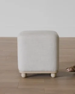 Arie Ottoman