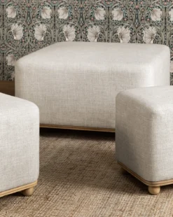 Arie Ottoman