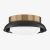 Arnie Flush Mount