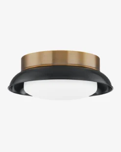 Arnie Flush Mount