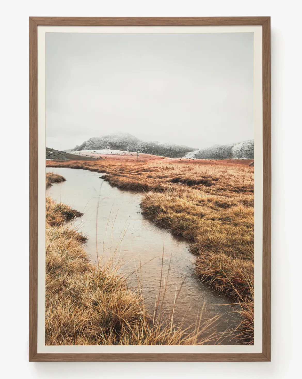 Autumn Marshes