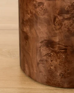 Bodhi Burl Side Table