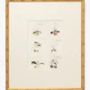 Botanical Grid 1
