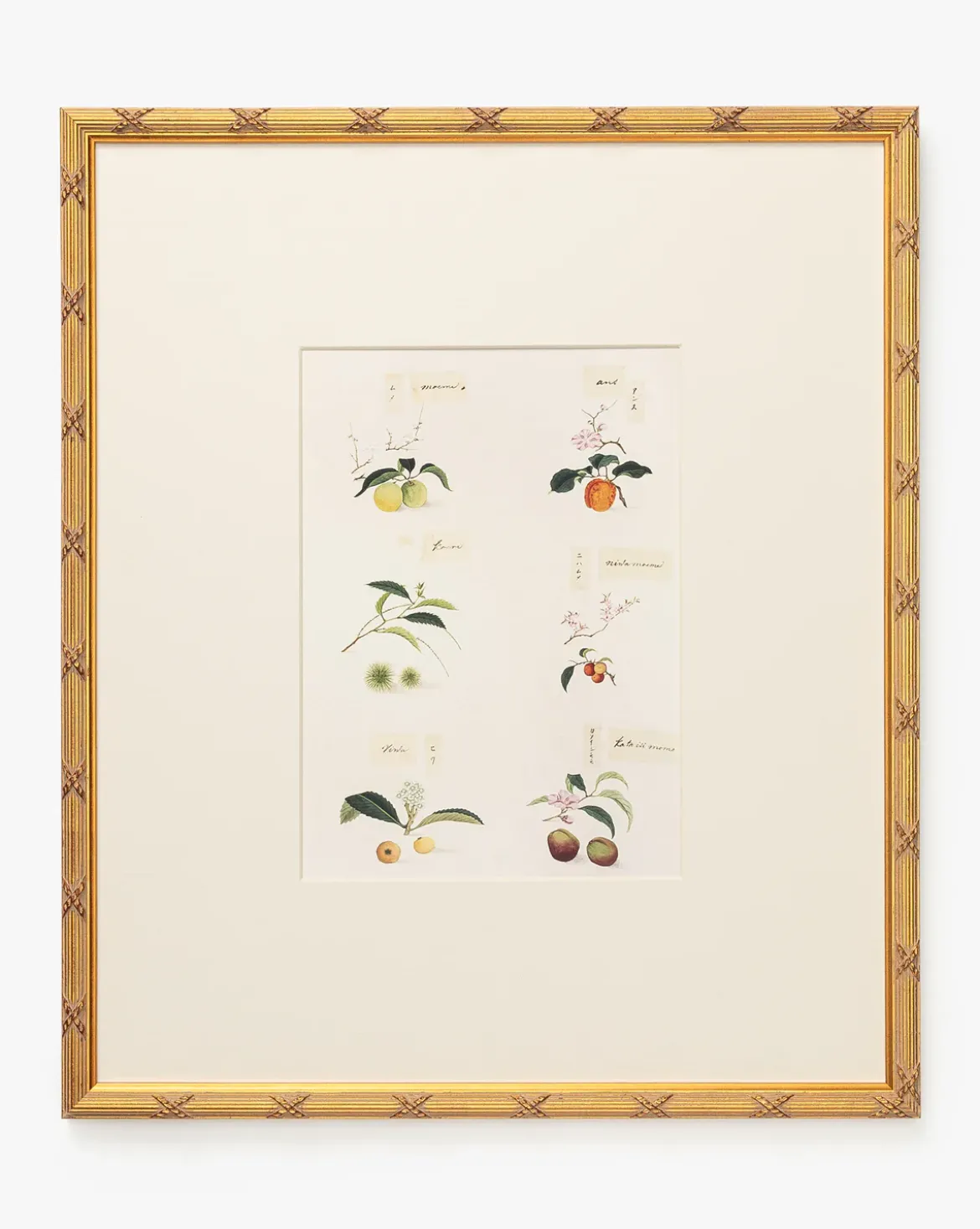 Botanical Grid 1