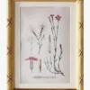 Botanical Study No. 1
