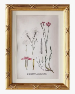 Botanical Study No. 1