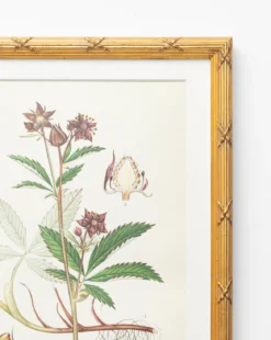 Botanical Study No. 2