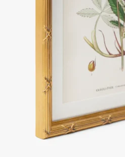 Botanical Study No. 2
