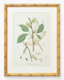 Botanical Study No. 3