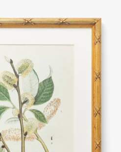 Botanical Study No. 3
