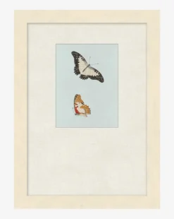 Butterflies Study II