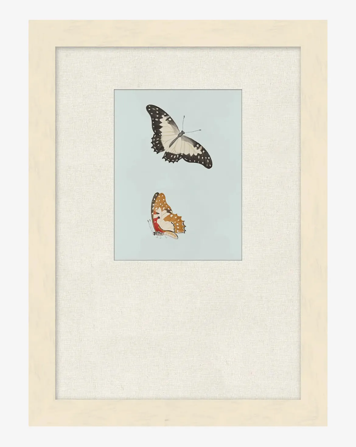 Butterflies Study II