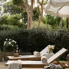 Cadie Outdoor Chaise
