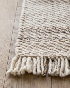 Callahan Handwoven Indoor/Outdoor Rug