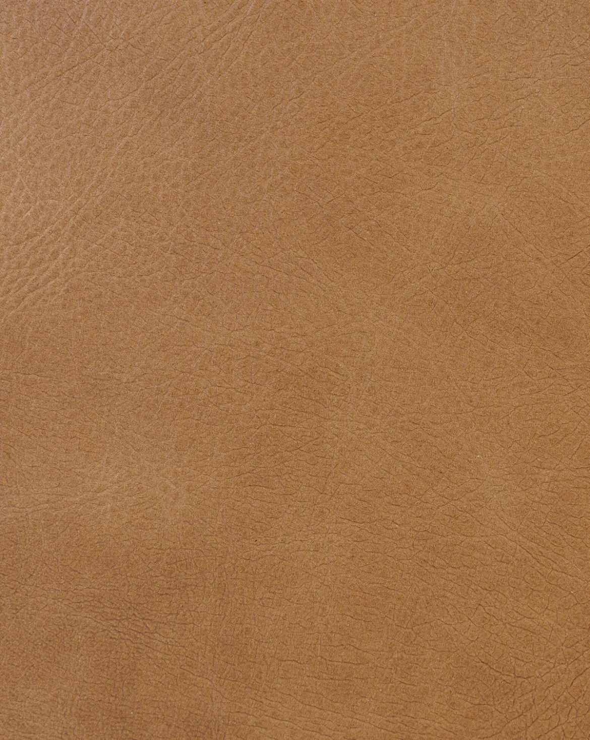Carolina Leather Upholstered Bed