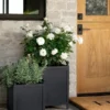 Clariance Planter