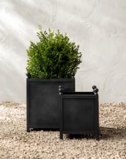 Clariance Planter