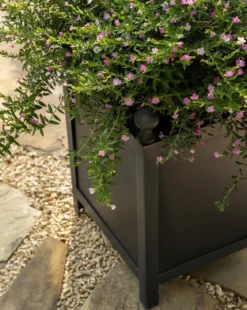 Clariance Planter