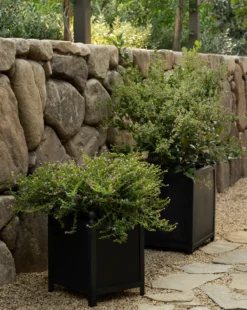 Clariance Planter