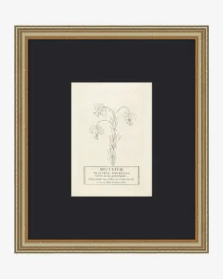 Collection Of French Flowers
