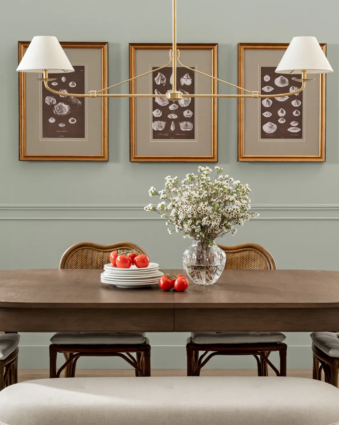 Conchology Study Triptych No. 2