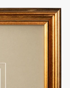 Conchology Study Triptych No. 2