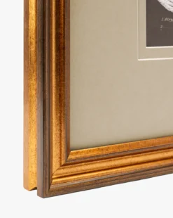 Conchology Study Triptych No. 3