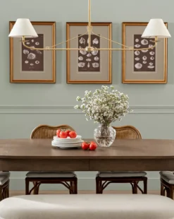 Conchology Study Triptych No. 1