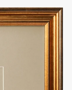 Conchology Study Triptych No. 1