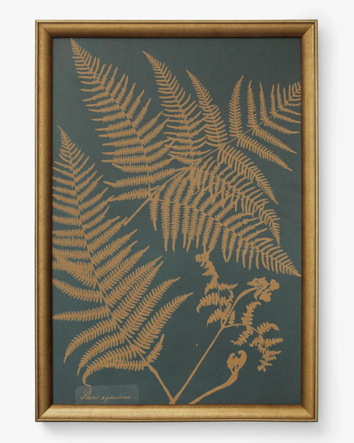 Copper Botanical 2