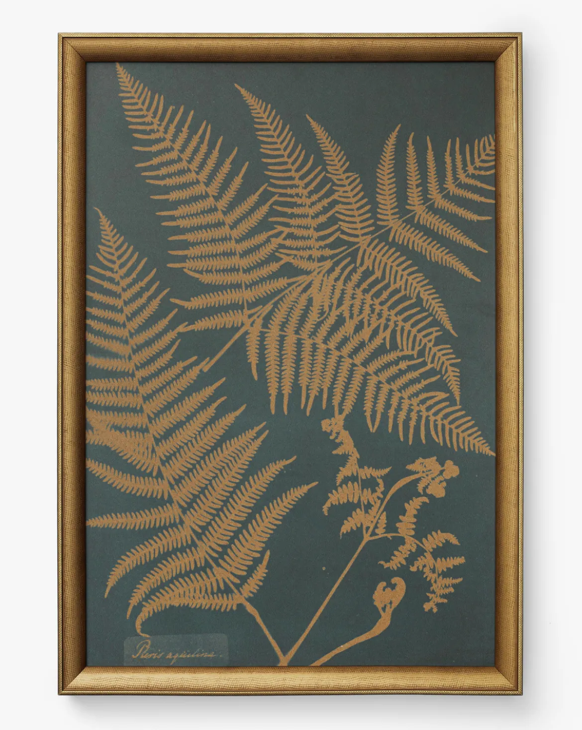 Copper Botanical 2