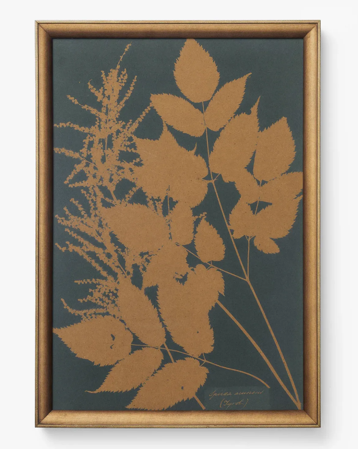 Copper Botanical 4