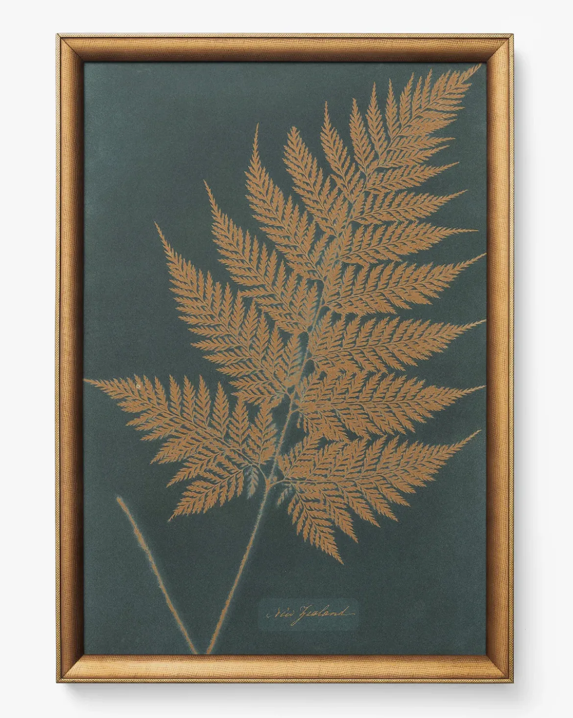 Copper Botanical 3