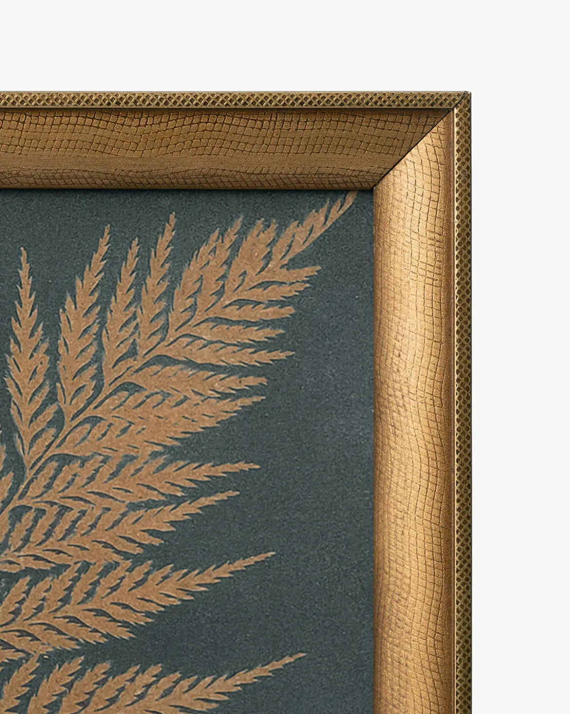 Copper Botanical 3