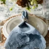 Cranbrook Napkins (Set of 4)
