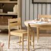 Darcy Kids Chairs (Set of 2)