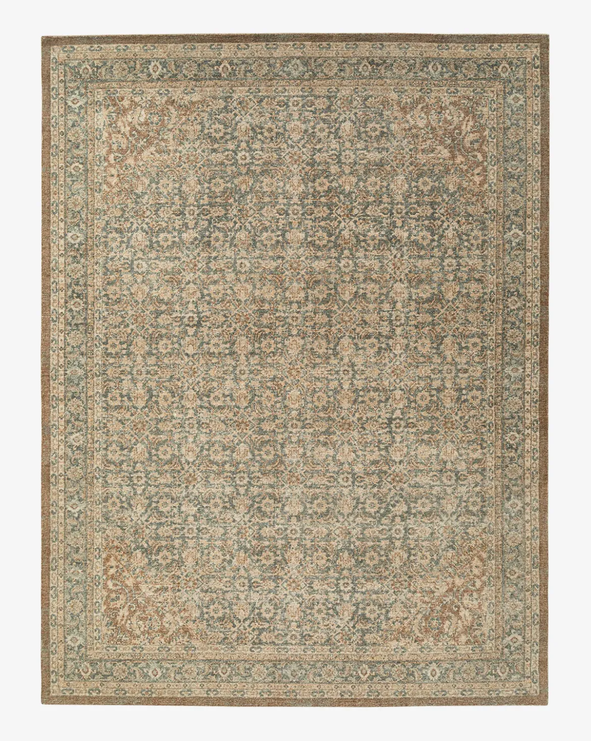 Endicott Hand-Tufted Wool Rug