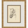 Equine Lines 2