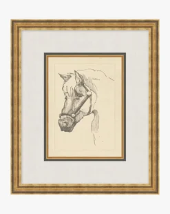Equine Lines 2