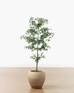 Faux Cascalote Tree