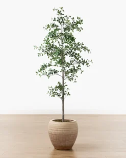 Faux Cascalote Tree