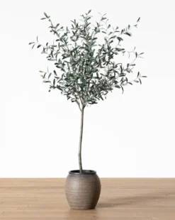 Faux 72" Olive Tree with Ceramic Pot