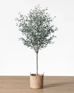 Faux 96" Olive Tree with Woven Pot
