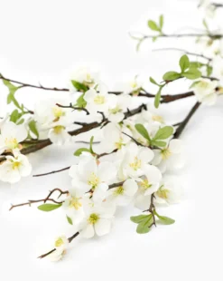 Faux Quince Blossom Branch