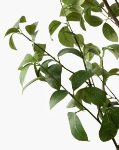Faux Tangerine Tree